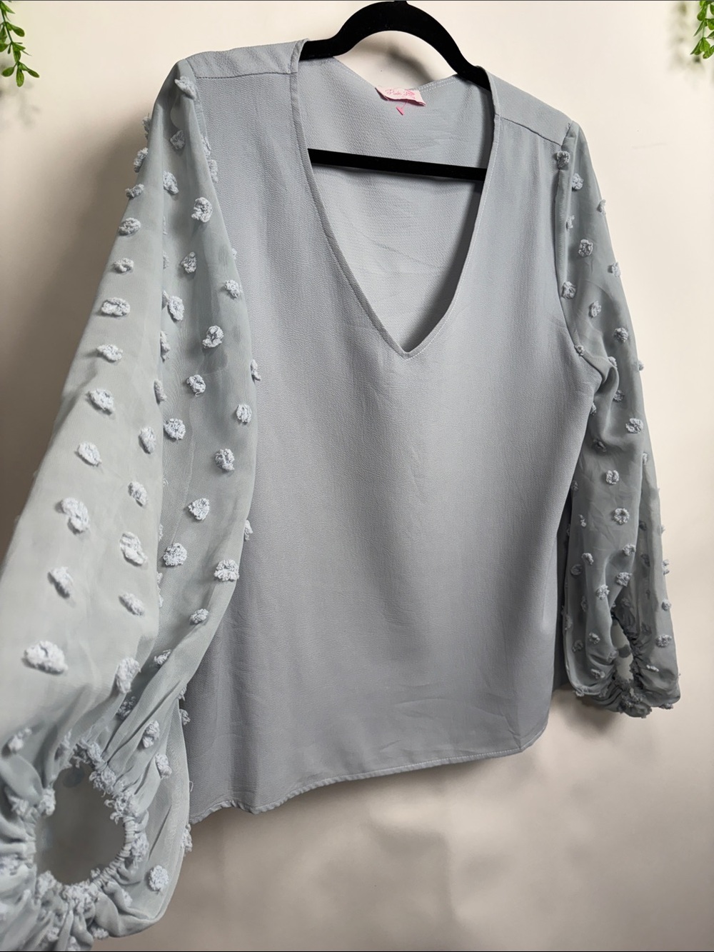 Pink Lily Light Blue V-Neck Swiss Dot Sleeve Blouse